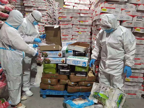 烏蘭察布市場監管局強化進口冷鏈食品與奶制品監管，突擊檢查批發及進出口環節